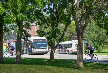 Grand Montréal : un réseau d’autobus structurant dans les plans de l’ARTM