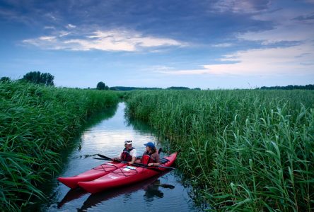 Le parc national des Îles-de-Boucherville sera agrandi