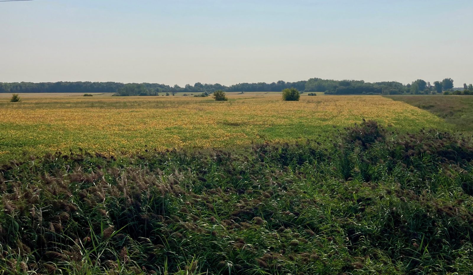 À Boucherville : 19 hectares de terres agricoles protégés à perpétuité